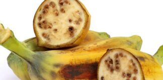 pisang fokusjabar.id