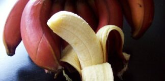 pisang merah fokusjabar.id
