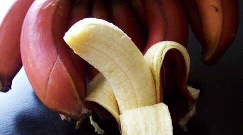 pisang merah fokusjabar.id