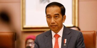 wakil menteri