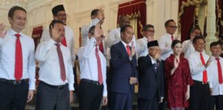 wakil menteri