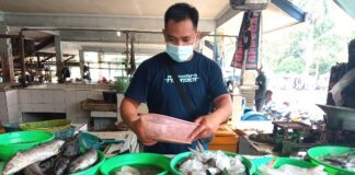 FOKUSJabar.id Ciamis