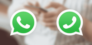 fokusjabar.id whatsapp