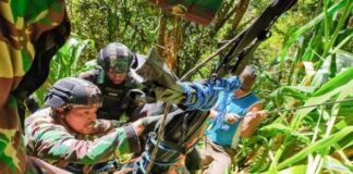 Fokusjabar.id KKB Papua