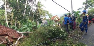 rumah