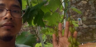 budidaya fokusjabar.id