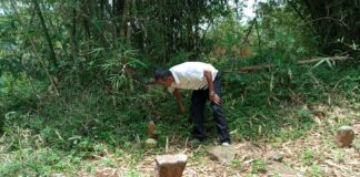 makam bapak bedog fokusjabar.id