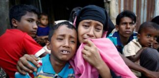 pengungsi rohingya