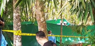 Tasikmalaya fokusjabar.id