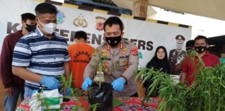 tasikmalaya fokusjabar.id