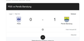 persib fokusjabar.id