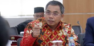 PDIP