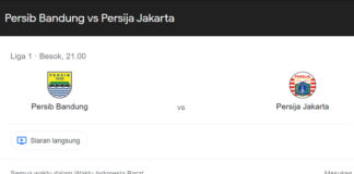 Persib fokusjabar.id