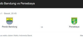 persib fokusjabar.id