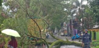 Fokusjabar.id Ciamis