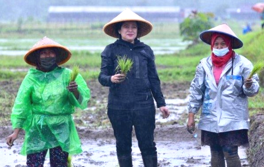 Fokusjabar.id Puan Maharani Banjar