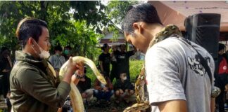 banjar fokusjabar.id