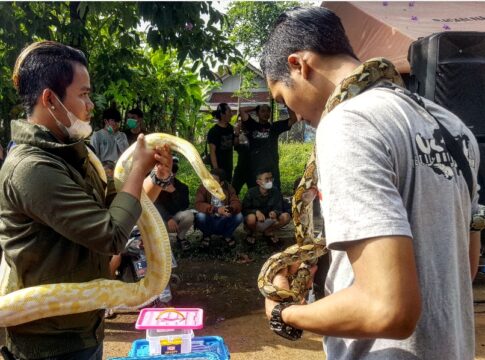 banjar fokusjabar.id