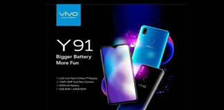 vivo