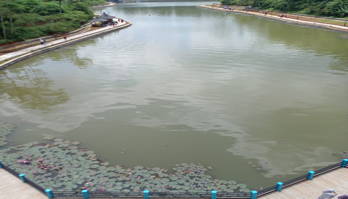Situ Wangi