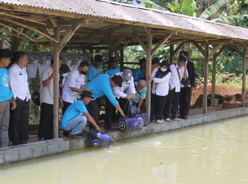 Ciamis