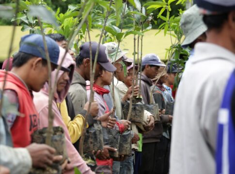 fokusjabar.id lahan kritis reboisasi green digital