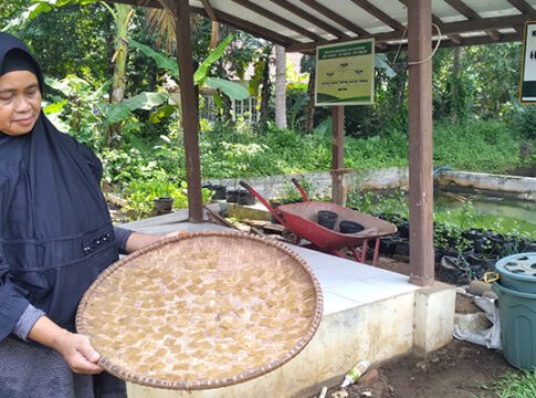 kulit pisang