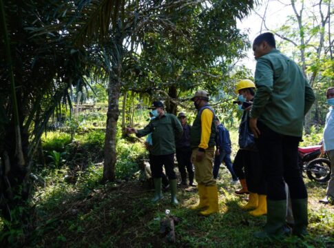 jembatan wareng fokusjabar.id