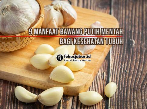 manfaat bawang putih mentah