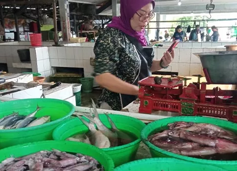 harga ikan laut segar