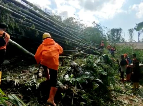 BPBD Kabupaten Tasikmalaya bersama TNI, Polri, Tagana, PRB dan masyarakat lakukan evakuasi reruntuhan pohon dari rumah warga