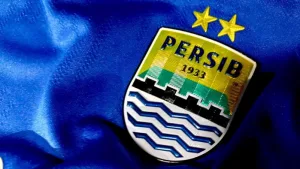 persib fokusjabar.id