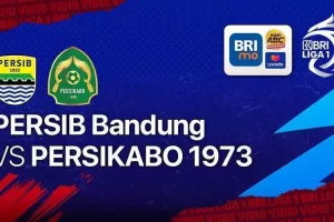 persib fokusjabar.id