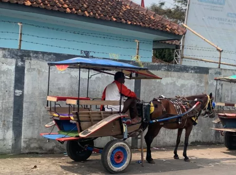 kusir delman fokusjabar.id