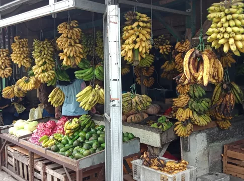 buah-buahan fokusjabar.id