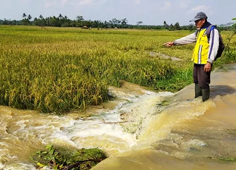 petani pangandaran