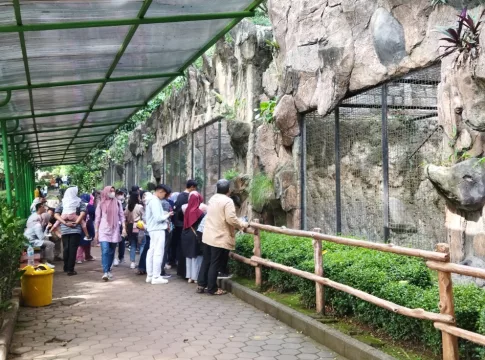 kebun bintang fokusjabar.id