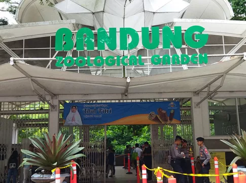 Pemerintah Kota (Pemkot) Bandung segera mengambil alih lahan Kebun Binatang Bandung. Hal ini sejalan dengan ketentuan pengelolaan Barang Milik Daerah (BMD) yaitu dengan mengamankan secara fisik, administrasi, maupun hukum. (FokusJabar/Yusuf Mugni)