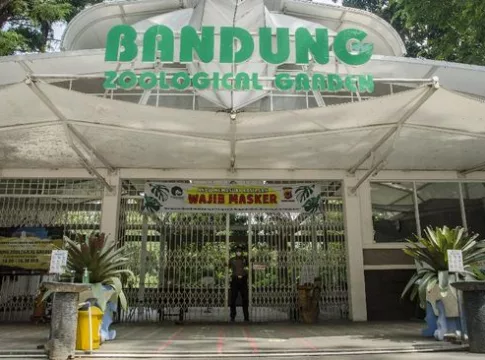 kebun binatang bandung