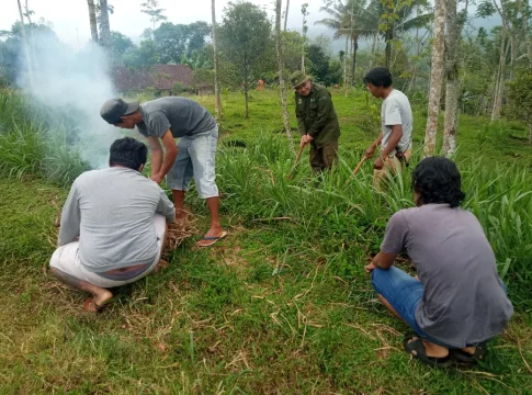 petani milenial fokusjabar.id