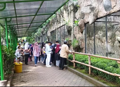 penyegelan kebun binatang bandung