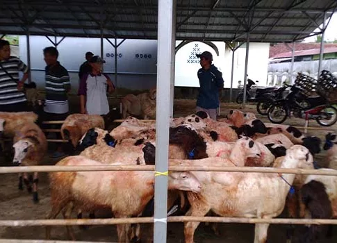 ketahangan pangan