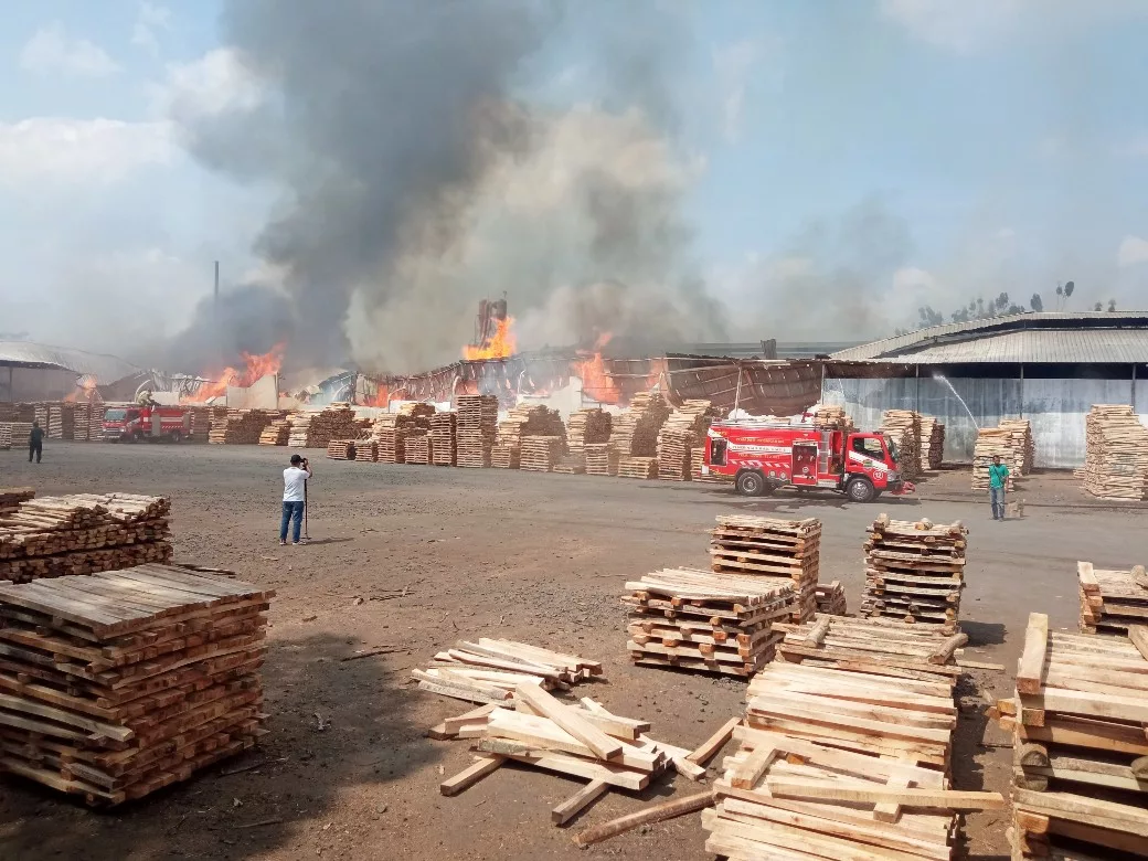 Pabrik Pengolahan Kayu Di Cijeungjing Ciamis Terbakar Fokus Jabar