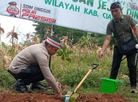 bibit buah-buahan fokusjabar.id