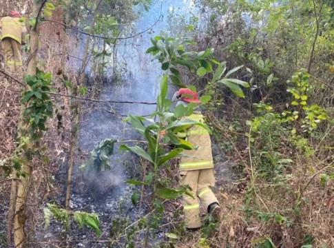 kebakaran hutan fokusjabar.id