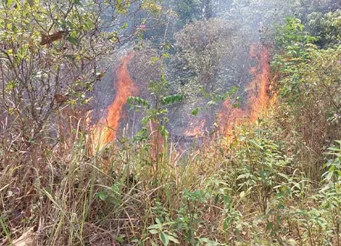 Gunung tugel kebakaran