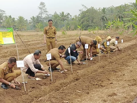 Pelaksanaan pelatihan Training Of Farmer (TOF) pertama di Jawa Untuk Petani Milenial Kabupaten Ciamis