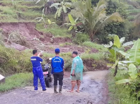 Tebing teras siring Sawah di Dusun Karangcingkrang Desa Mekarmulya Kecamatan Pamarican Kabupaten Ciamis Jawa Barat longsor. FOTO: Husen