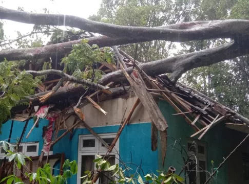 Ketpot: Salah satu rumah milik warga di Desa Nasol Ciamis yang tertimpa pohon tumbang Foto: Husen Maharaja