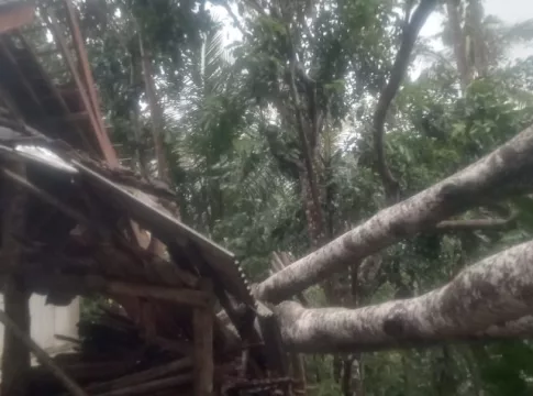 Rumah di Desa Bunter Ciamis Rusak Tertimpa Pohon Tumbang